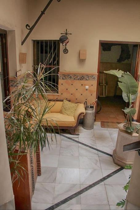 Penthouse With Large Terrace In Center Of Cadiz 아파트 외부 사진
