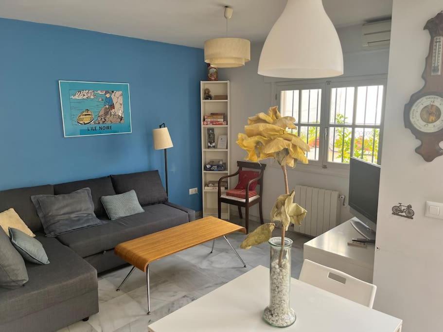Penthouse With Large Terrace In Center Of Cadiz 아파트 외부 사진