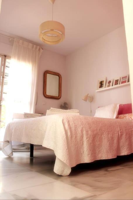 Penthouse With Large Terrace In Center Of Cadiz 아파트 외부 사진